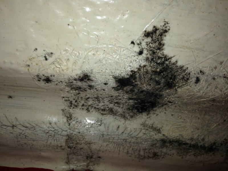IMG_2406.JPG