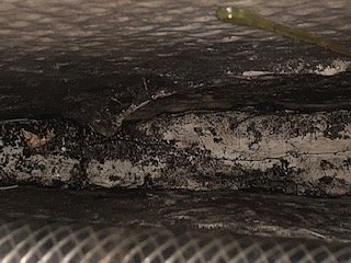 IMG_1254.jpg