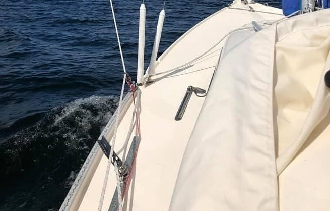 solution found on internet (photo 1 of 2)