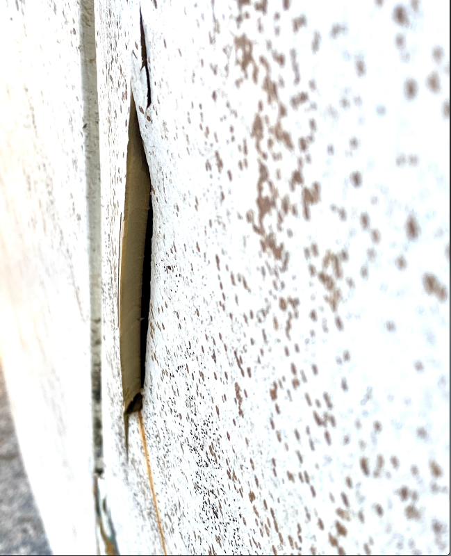 Screenshot 2022-03-28 at 23.38.49.png