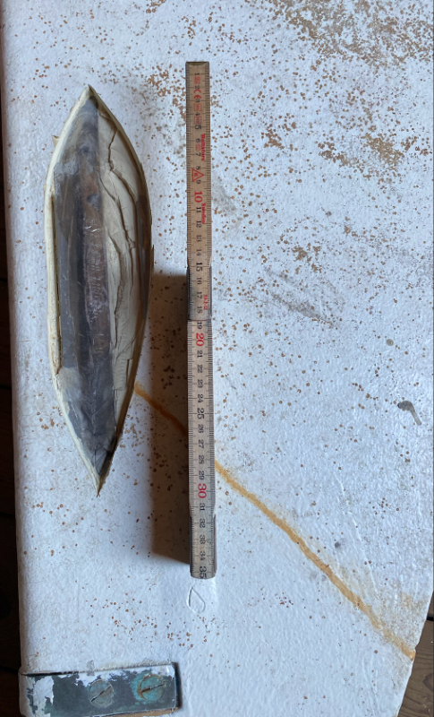 Screenshot 2022-04-02 at 16.59.29.png