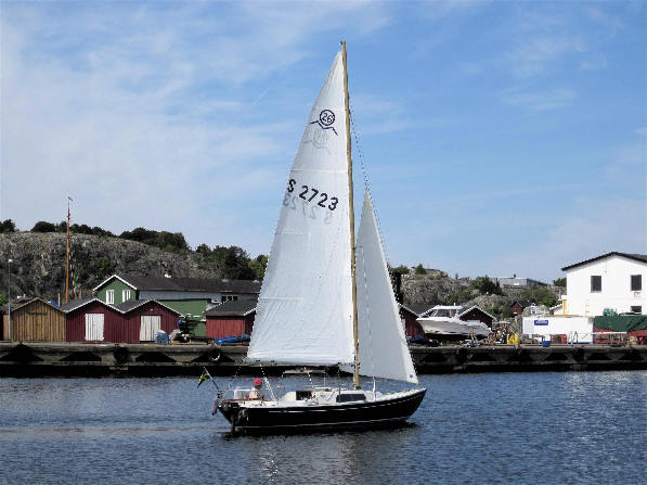 Segelfockkort.jpg